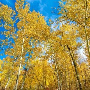 Meet your Posher, Alanna